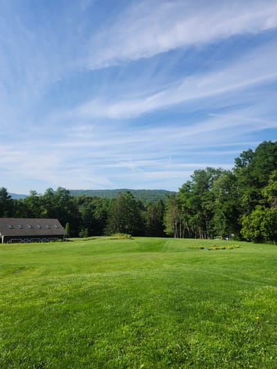 The image shows a bucolic landscape on a clear, sunny day. In the foreground, a vast expanse of lush green grass stretches across a rolling hill. In the middle ground, a long, dark-colored building with multiple skylights is visible to the left, its rectangular windows lined up neatly along its facade. A line of tall, dense green trees forms a backdrop behind the building and extends across the mid-ground to the right. Beyond the trees, a hazy mountain range is visible under a bright blue sky adorned with wispy white clouds. The scene is tranquil and appears to be set in a rural or semi-rural location.