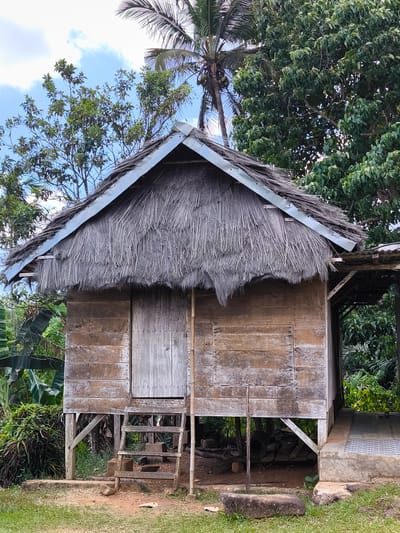 The image depicts a small, rustic wooden house elevated on stilts, situated in a tropical environment. The house has a thatched roof made of dried palm fronds and wooden plank walls. A simple wooden ladder leads up to the entrance, which is a single wooden door. The house is surrounded by lush green vegetation, including banana trees and other tropical plants. In the background, a palm tree stands tall against a partly cloudy sky. The ground in front of the house is covered with grass and dirt, with a few rocks and some discarded tires visible underneath the structure. The scene appears to be located in a rural area, possibly in Melo, Indonesia, given the tropical vegetation and traditional architectural style. There are no people or animals visible in the image, and no actions or interactions are taking place. The overall impression is one of a simple, natural dwelling in a remote setting.