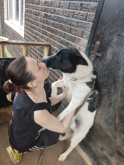 A Caucasian woman is embracing a black and white dog on a porch. The woman has dark hair pulled back in a ponytail and is wearing a black t-shirt. She is holding the dog close, and their faces are touching. The dog has black markings on its face and body. The porch appears to be part of a residential building with brick walls. There is a dark door to the right of the frame and a railing to the left. The ground of the porch is covered with a textured mat. The scene suggests an affectionate interaction between a pet owner and her dog. This location is in Alabino, Russia.