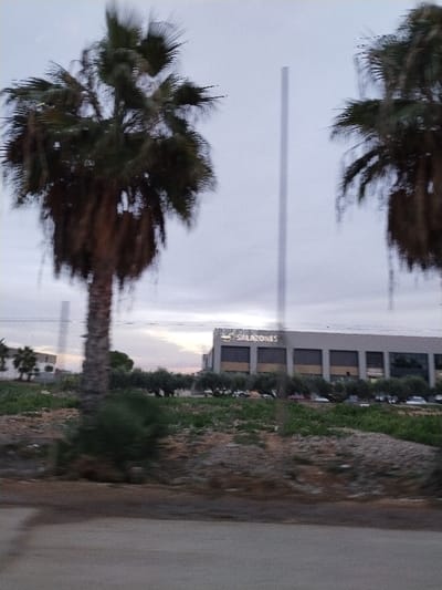 A building with "SALAZONES" written on it is seen in the distance, partially obscured by trees. Two palm trees stand tall on either side, framing the scene. A thin, vertical structure rises behind the building. Greenery and gravel cover the ground in the foreground, and a road stretches across the bottom of the image. The sky is overcast, contributing to a muted color palette.