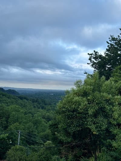 The image depicts a wide, verdant valley under a cloudy sky. In the foreground, a dense canopy of lush green trees dominates the right side of the frame, partially obscuring the view. The trees are varied in height and density, with some displaying lighter green foliage and others darker. A single utility pole with multiple wires is visible on the left side of the frame, extending from the lower left corner upwards and disappearing into the trees.

In the middle ground, rolling hills covered in dense forest stretch across the landscape, fading into a hazy distance. The trees in the valley appear as a textured carpet of deep green. In the far distance, the horizon is barely visible, marked by a faint, hazy line where the sky meets the land. A subtle light source, possibly distant artificial lights or a break in the clouds, can be seen as a small bright spot in the far distance, towards the center of the horizon.

The sky is overcast with heavy, gray clouds that extend across the entire upper portion of the image. The light is diffused and muted, suggesting either early morning, late evening, or an approaching storm. The overall mood of the image is one of natural tranquility and expansive wilderness, with a hint of human presence through the utility pole. The scene is devoid of any visible people or animals.
