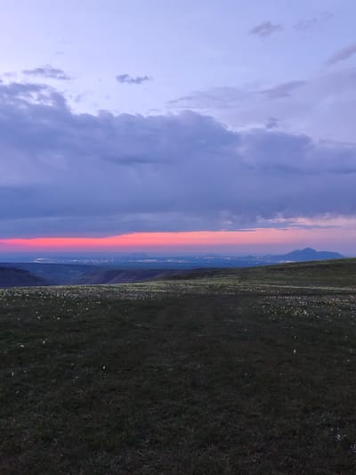 The image shows a landscape with a field of grass and small white flowers in the foreground, likely located in Urozhainyi, Russia. In the distance, a red-orange horizon line indicates a sunset or sunrise, with the faint lights of a city visible below it. Above the horizon, the sky is filled with purple-grey clouds. A mountain silhouette is discernible on the right side of the horizon. No people are visible in the image.