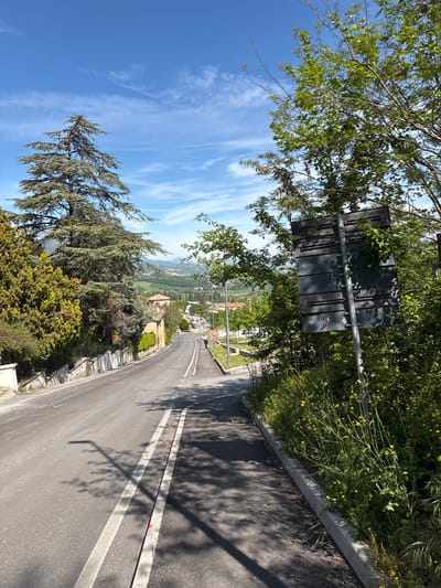 The image captures a bright, sunny day overlooking a picturesque landscape in Camerino, Italy. A paved asphalt road, bordered by white lines, curves gently downhill, receding into the distance. Tree shadows are cast sharply across the road surface, indicating strong sunlight.

On the left side of the road, lush green foliage from large deciduous trees hangs overhead, with branches reaching into the clear blue sky. Further down, a tall conifer tree stands prominently against the backdrop of the valley. On the right side of the road, a concrete curb separates the asphalt from a dense growth of green plants, adorned with numerous small yellow flowers.

A prominent, dark rectangular sign is visible on the upper right, partially obscured by tree leaves; it appears to be the back of a multi-panel road sign. Further along the road on the right, a white triangular warning sign with a red border and a circular speed limit sign displaying "30" are visible.

The road opens up to a panoramic view of a valley. In the mid-ground, traditional Italian-style buildings with red-tiled roofs are nestled among the rolling green hills. A small town or village is visible in the distance, surrounded by what appears to be agricultural land or vineyards, extending towards hazy mountains on the horizon. The sky is a vibrant blue with sparse, wispy white clouds, typical of cirrus formations.

The scene suggests a peaceful, clear day, likely in the morning or early afternoon given the distinct shadows. No people or vehicles are visible, emphasizing the tranquility of the rural setting. The overall impression is one of natural beauty and an idyllic Mediterranean landscape.