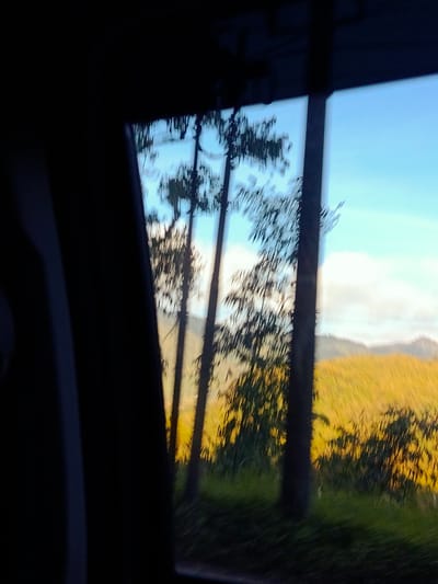The image, taken from inside a vehicle looking out a window, captures a view of the landscape near Dolat Rayat, Indonesia. In the foreground, on the left, is a dark, blurry shape which appears to be part of the interior of the vehicle, possibly a curtain or pillar. The main focus of the image is the exterior scene. Several tall, thin trees with sparse foliage are silhouetted against a bright sky. The trees are blurred due to motion. Beyond the trees, a rolling landscape is visible, with a field of tall, yellow-green grass or crops illuminated by sunlight. The background shows faint outlines of hills or mountains, shrouded in a light haze. The sky is a pale blue with some white clouds. The overall impression is of a fast-moving scenic view, likely captured while traveling.