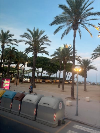 The image depicts a beachside area in Vila-seca, Spain, at dusk or twilight. The foreground features a row of large, grey, wheeled trash bins with lids of various colors: yellow, blue, and brown. Diagonal red and white reflective strips are visible on the sides of some bins. A pedestrian crossing is marked on the asphalt road in front of the bins.
In the midground, several palm trees are prominent, with their fronds reaching towards a clear, pale blue sky. A street lamp with a glowing, spherical light fixture is positioned between two palm trees. Beyond the palm trees, a sandy area leads to a beachfront lined with thatched umbrellas and a body of water, possibly the Mediterranean Sea, where a few small boats are visible in the distance. A cluster of small market stalls or shops with illuminated interiors and visible goods are situated behind the palm trees. A few people are walking in the distance near the beach.
On the left side of the image, a large pink sign with white lettering is partially visible, displaying text in Catalan. Behind the stalls, the facade of a building with multiple windows is visible. The overall atmosphere suggests a coastal town area during the evening hours.