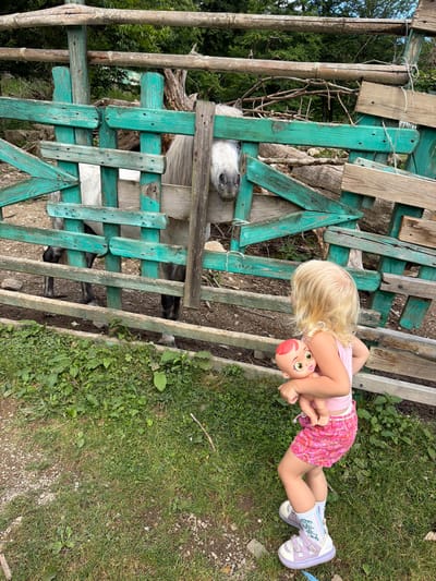 A young girl with blonde hair is holding a baby doll and standing in front of a rustic wooden fence. The fence is painted a weathered turquoise color with some areas of natural wood showing through. Behind the fence, a white horse is partially visible, with its head and front legs apparent. The environment appears to be outdoors, with green grass and foliage in the foreground and background. The scene suggests a rural or farm-like setting, possibly in the city of Semenovka, Russia.