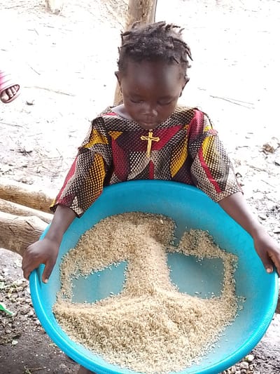 A young child is holding a blue basin filled with rice. The child is looking down at the rice. The child is wearing a colorful shirt with a gold cross necklace. In the background, there are logs and dirt. The scene appears to be outdoors in a rural area.