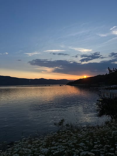 The image depicts a sunset over a body of water, likely a lake or reservoir, in the vicinity of Brosh, Bulgaria. The sky transitions from a clear, muted blue at the top, through subtle cirrus and cumulus cloud formations in various shades of grey and white, to warm orange and yellow hues at the horizon on the right, where the sun is visible. The sun, a bright orange-yellow disc, is partially obscured by a dark, forested hillside on the right side of the frame, indicating late evening.
Silhouetted mountains or hills form the distant background across the mid-left to central horizon. The water surface, occupying the central third of the image, is dark blue-grey with ripples and minor waves, reflecting the sky's colors, particularly the warm glow of the sunset. Horizontal structures, possibly aquaculture platforms or pontoons, are visible on the water in the mid-ground. Small boats or buoys are discernable on the far-left water surface. Along the right shoreline, partially obscured by foreground foliage, are white structures resembling floating docks or houseboats with railings.
The immediate foreground on the left and center is covered densely with small, white, daisy-like flowers and interspersed with darker green foliage and sparse blades of grass. A dark tree or large bush is partially visible on the far right, extending from the bottom right corner towards the center. No human figures or animals are present.