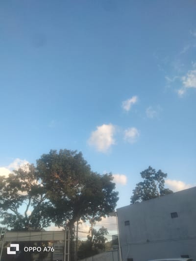 A clear blue sky with sparse white clouds dominates the upper portion of the image. In the lower half, a large, dense green tree with many branches is prominent on the left, with another, smaller tree to its right. A gray building with two dark rectangular openings is situated on the right side of the frame, partially obscuring the trees. The bottom left corner features a white logo and the text "OPPO A76". The scene appears to be outdoors in an urban or semi-urban environment. The presence of trees and a building suggests a developed area. The lighting indicates it is daytime.