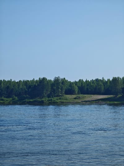 The image captures a serene natural scene, likely depicting the riverbank in Samkovo, Russia. The foreground is dominated by the calm, blue water of a wide river, its surface rippled by gentle currents. Beyond the water, a dense line of lush green trees forms the horizon, suggesting a forested area. The trees appear to be a mix of deciduous species, with varied shades of green indicating different types or stages of growth. A patch of lighter, possibly sandy, ground is visible at the base of the trees, indicating a clearing or a path leading down to the river. The sky above is a clear, pale blue, devoid of clouds, contributing to the overall sense of tranquility. There are no people or man-made structures visible in the scene, emphasizing its natural beauty and remoteness.