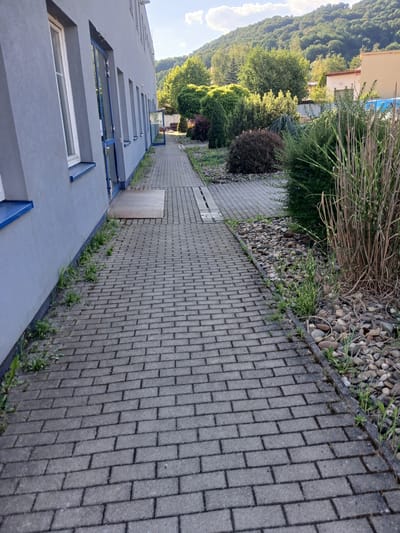 This media file captures an outdoor scene in Benešov nad Ploučnicí, Czechia. The image is oriented vertically and presents a view of a building's exterior alongside a paved walkway. The building, which appears to be a modern structure with a gray facade, features multiple windows with blue frames. Adjacent to the building is a walkway made of interlocking gray bricks, bordered by a strip of small, smooth stones and various green plants. Further beyond the walkway, a lush green hillside covered in trees rises, suggesting a natural, possibly mountainous or hilly, environment. Some dry reeds or tall grasses are visible in the upper portion of the image, intermingled with the stones. The lighting suggests it is daytime, possibly late afternoon, given the shadows cast by the plants on the walkway. The overall impression is one of a well-maintained outdoor area adjacent to a building, with a natural landscape in the background. No people or specific events are depicted, and there is no visible text in the image.