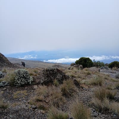 The image depicts a high-altitude, rugged landscape at Gilman's Point, Tanzania, under a hazy sky with a distinct cloud layer visible below. The terrain consists primarily of dark, angular rocks and smaller gray-brown stones, interspersed with sparse clumps of dry, yellowish-brown tussock grass and low-lying, light-green or grayish-green shrubbery.
In the midground, towards the left, a solitary individual is visible, oriented slightly away from the viewer. This person is wearing dark clothing and a prominent dark backpack, appearing to be a hiker or climber traversing the rocky environment. A faint, uneven dirt path is discernible leading through the terrain. To the right, several larger, darker green bushy plants are present among the rocks.
The background reveals an expansive view of distant landforms partially obscured by a layer of white clouds. The sky above is a pale, hazy gray-blue, indicative of high altitude or overcast conditions.