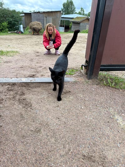 A woman in a red jacket and black pants is taking a selfie with her phone in a rural setting. She is smiling at the camera, and her blonde hair is visible. Next to her, a black cat with a long tail is lying on the ground. The background shows wooden buildings, a wheelbarrow, and trees. A round bale of hay is also visible. The ground is covered in gravel and dirt. The sky is overcast. The scene appears to be in a farm or rural area. The time of day is likely daytime, given the lighting. The location is identified as Nord Snt, Russia. There is text visible on the woman's shirt, which appears to say "DANCE WING".