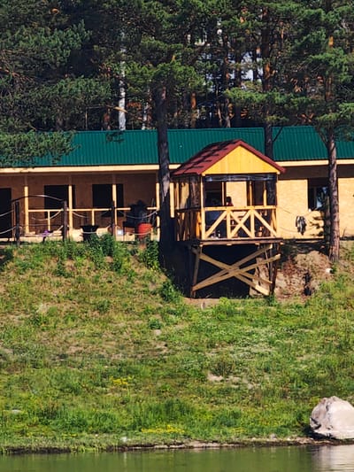 The image captures a serene natural setting with a wooden structure situated on a grassy slope overlooking a body of water. The structure, likely a house or a guesthouse, features a bright yellow facade and a green metal roof, with a prominent wooden gazebo perched on stilts on its left. The gazebo has a red-brown roof and open sides, offering a view of the surrounding landscape. The slope is covered in lush green grass dotted with yellow wildflowers. Pine trees form a dense backdrop to the building, suggesting a location in a forested area. In the foreground, the calm, green water reflects the sky and the trees. The overall impression is one of a peaceful rural retreat, possibly in Podporozh'e, Russia, known for its natural beauty and abundant forests.