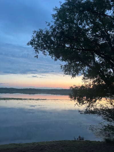 The image depicts a serene natural landscape at dusk. A large, silhouetted tree with thin, wispy leaves dominates the right side of the frame, its branches extending over a calm body of water. The water perfectly mirrors the sky and the distant treeline, creating a symmetrical and tranquil scene. The sky transitions from a deep blue at the top to soft hues of pink and orange near the horizon, suggesting the setting sun. In the distance, a low, dark treeline marks the opposite shore. The foreground consists of a patch of dark, grassy ground. The environment suggests a peaceful, undeveloped natural area, possibly a lake or riverbank. The location is identified as Klepiki, Russia. There are no people or animals visible in the image.