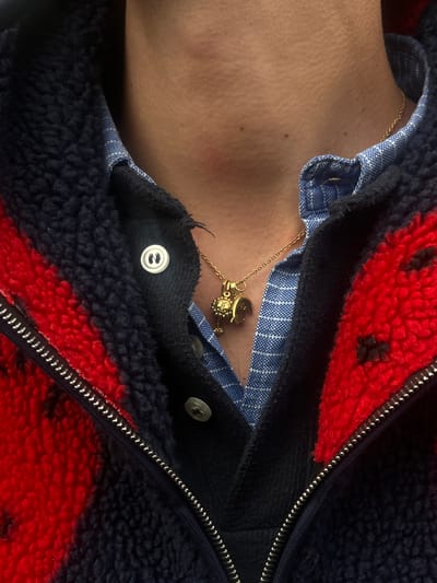 A close-up shot of a person's upper chest and neck area is visible. The person is wearing a light blue, button-down shirt with a subtle checkered pattern. Over the shirt, there's a fleece jacket or vest with a prominent red and navy blue color block design. The jacket is partially zipped, with the zipper teeth and pull visible. A gold chain necklace with a small pendant hangs around the person's neck, resting on the shirt. The skin tone of the person is light, and there are a few visible skin marks or blemishes. The image focuses on the clothing and the person's upper body, with no indication of a specific location or cityscape, including Bayonne, France.