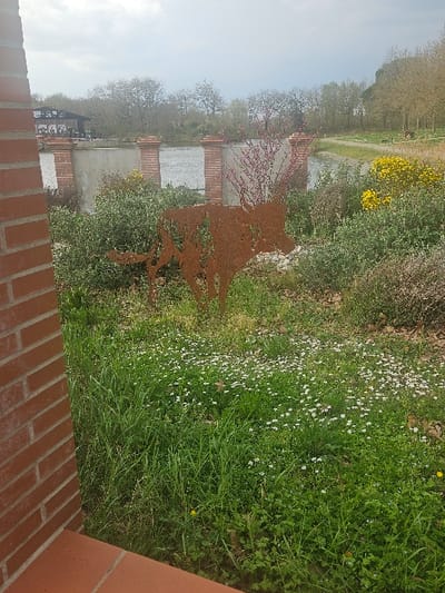 The image depicts an outdoor scene in Avignonet-Lauragais, France, under an overcast sky. The foreground on the left displays a reddish-brown brick wall and a terracotta-colored step. Adjacent to this, the ground is covered by a mixture of vibrant green grass and numerous small white wildflowers, consistent with daisies, along with a few yellow blossoms.
Centered in the mid-ground, a rusted metal silhouette of an animal, resembling a wild boar or wolf, stands amidst various green shrubs and bushes. Behind this vegetation, a body of water, identifiable as a canal, spans horizontally. A low concrete wall featuring regularly spaced reddish-brown brick pillars serves as a barrier along the canal's edge. A shrub with small purple blossoms is visible near the concrete wall to the left of the metal animal silhouette.
The background beyond the canal features a dense line of deciduous trees, exhibiting early spring foliage. A dark-roofed building with lighter-colored walls is partially visible through these trees on the far left bank. On the opposite bank to the right, a dirt path runs parallel to the water, and indistinct animal figures, possibly horses, are faintly visible further down the path. No human subjects are present in the scene.