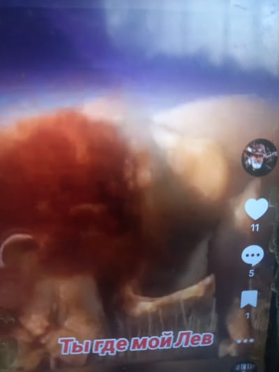 The image appears to be a screenshot from a social media platform, possibly TikTok, given the on-screen interface elements like a profile picture, heart icon with a count of "11", a comment icon with a count of "5", and a bookmark icon with a count of "1". The background shows a hazy, possibly digitally enhanced image of a lion's head, with a red and orange mane against a blurred sky. There is text in Russian at the bottom, which translates to "Where are you, Lion". There is no discernible information within the image that would allow for identification of the city of Maloye Lugovoye, Russia, or any specific location within it. The image is too abstract and lacks detail to provide any forensic information about a location.
