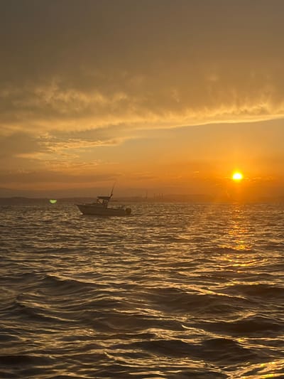 The image depicts a maritime scene at Port Kembla, Australia, during either sunrise or sunset, characterized by warm, golden, and orange light. The foreground and midground feature choppy water with numerous small waves, reflecting the sun's intense golden light. In the midground, a single motorboat is positioned, oriented with its bow facing left. The boat is a center-console or cuddy-cabin type, featuring a dark canopy or T-top, and multiple fishing rods are visible mounted vertically. An outboard motor is present at the stern. No occupants are discernible on the boat.

The sun, a bright yellow-orange orb, is visible near the right edge of the frame, just above the distant land horizon. It casts a strong, shimmering reflection path across the water towards the viewer. The sky above is filled with stratiform clouds, illuminated from below by the low sun, displaying shades of golden orange and muted brown. On the distant horizon, a faint silhouette of land reveals industrial structures, consistent with the Port Kembla steelworks and port facilities. A prominent, semi-circular green light artifact, consistent with a lens flare, is present on the water surface to the left of the boat. No people or explicit interactions are observed in the scene.