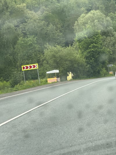This is a slightly out-of-focus, eye-level, medium shot captured from a moving vehicle on a paved road. The road occupies the foreground, with a white lane marker running diagonally from the bottom left to the center of the frame. To the right of the lane marker, the asphalt appears darker.
In the middle ground, on the right side of the road, there's a roadside stall. A yellow sign with Cyrillic text, which appears to read "ГОРНЫЙ МЕД С ПАСЕКИ" (Mountain Honey from the Apiary), is visible on this stall. Next to the stall, a large, yellow, cartoonish bear-like figure stands on a yellow barrel, holding what looks like a jar. Another smaller stall or structure with a white canopy is partially visible to the left of the bear figure, with a yellow sign also bearing Cyrillic text. A road sign with multiple red and white chevron symbols pointing to the right is positioned on the left side of the road, also in the middle ground.
The background is dominated by a dense forest of lush green trees, suggesting a rural or wilderness setting. The sky is not visible. The image has a slightly hazy or misty quality, possibly due to rain on the vehicle's window or atmospheric conditions. The location is identified as Usakly, Russia.