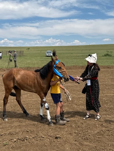 In Orongoi, Russia, a bay horse is being presented to a woman. The horse is decorated with a blue sash around its head and has white markings on its legs. The woman is wearing a black floral dress, a red sash, and a white hat with sunglasses. She is holding a microphone with "РОССИЯ" written on it, suggesting she is a reporter. A young person in a yellow shirt and blue shorts is standing next to the horse, holding its reins. In the background, a cameraman is filming, a fence, a car, and a grassy field with rolling hills can be seen under a partly cloudy sky. The ground in the foreground is dry and dusty.