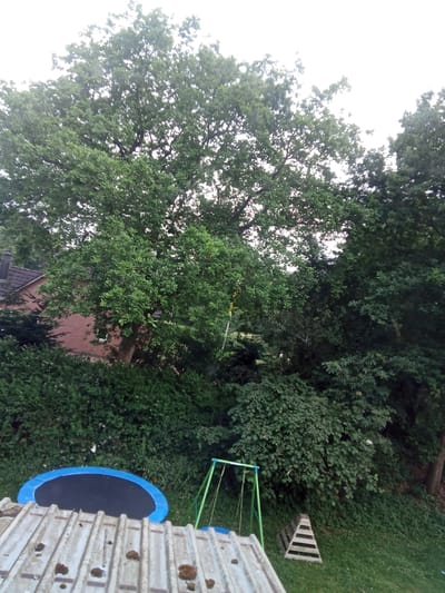 The image depicts a backyard scene in Hollingstedt, Germany, dominated by lush green foliage from large trees and bushes. In the foreground, a portion of a corrugated metal roof is visible, with moss and debris scattered across its surface. To the left of the frame, a round blue trampoline with a black surface rests on the grass. A green metal swing set with two swings is positioned in the center of the yard. To the right of the swing set, a small wooden pyramid-shaped structure, possibly a toy or garden ornament, sits on the grass. In the background, a brick house with a dark tiled roof is partially obscured by dense greenery. The overall impression is of a suburban or rural residential backyard during daylight hours, with an overcast sky suggested by the bright, diffused lighting.