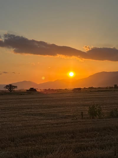 This is a vertical, landscape photograph taken at sunset in Blatets, Bulgaria. The sun, a bright, glowing orb, is low in the sky, casting a warm, orange and yellow light across the scene. Silhouetted against the vibrant sky are the gentle slopes of distant mountains.
In the foreground, a harvested field stretches out, the stubble of crops creating a textured, striped pattern. A large agricultural machine, likely a combine harvester, is visible in the middle ground of the field, actively working or parked. Its dark silhouette contrasts with the bright sky. A lone, sparsely-branched tree stands in the field, further enhancing the sense of rural activity.
Clouds are present in the sky, with some illuminated by the setting sun, adding depth and color to the atmosphere. The overall mood is serene and peaceful, with the warm light of sunset creating a sense of calm. The image captures a rural agricultural setting at the end of a day, possibly during harvest season.