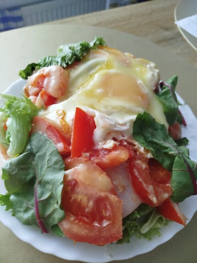 An overhead close-up shot captures a white plate filled with a hearty breakfast or lunch. The plate contains a bed of shredded lettuce topped with sliced tomatoes, what appears to be ham, and two perfectly fried eggs. The eggs, with their bright yellow yolks and crisp white edges, are nestled atop the other ingredients, some of the egg white spilling over the sides. Lush green lettuce leaves and vibrant red tomato slices are scattered around the eggs, adding a fresh contrast to the dish. The entire composition is presented against a neutral background, hinting at a domestic setting perhaps in Offenbach am Main, Germany. The lighting suggests a natural light source, possibly from a window, illuminating the textures and colors of the food.