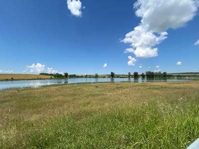 A wide, horizontal shot captures a serene natural landscape under a bright blue sky dotted with fluffy white clouds. In the foreground, tall, dry grass with hints of green dominates the view, creating a textured meadow. Beyond this, a calm body of water, possibly a lake or wide river, stretches across the mid-ground, reflecting the sky and clouds. The opposite bank of the water is lined with a dense strip of trees, and further back, gently rolling hills are visible. The scene suggests a rural or natural setting, characteristic of the outskirts of Maslarevo, Bulgaria, during a clear day. There are no people or animals visible in the image.