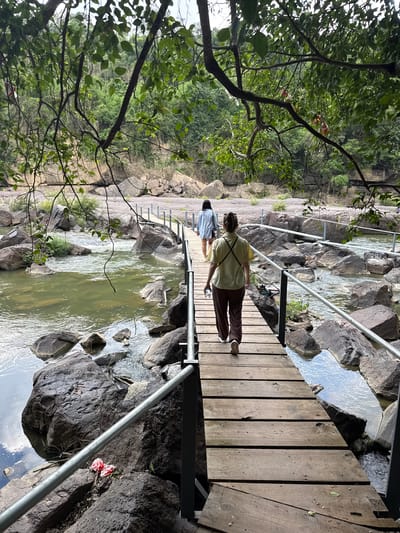 Two women are walking on a wooden boardwalk that spans a rocky river. The woman in the foreground is wearing a light green short-sleeved shirt and brown pants, and she is holding a clear plastic bottle. The woman in the background is wearing a light blue shirt and white shorts. The boardwalk is lined with metal railings. The river has green, murky water and is surrounded by large, dark rocks. Trees with green foliage hang over the scene from the left side. The background shows a lush, green forested hillside. The scene appears to be a natural park or recreational area, likely in the city of Tân Phú, Vietnam, given the context.