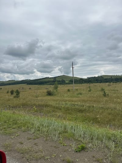 The image depicts an overcast day in a rural landscape, likely in the vicinity of Кужаново, Russia. The scene is dominated by rolling hills covered in green grass and interspersed with dark green trees. In the foreground, a field of dry grass and wildflowers stretches towards the hills, with a dirt path visible on the far left, where a small section of a red object, possibly a car part, is present. A single utility pole stands in the middle ground, supporting power lines that run horizontally across the frame. The sky is filled with heavy, grey clouds, suggesting a possibility of rain. No people or animals are visible in the image. The overall impression is one of a natural, undeveloped environment.