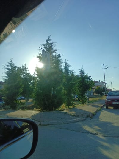 This image appears to be taken from inside a vehicle, looking out at a sunlit street scene in Bahşılı Belediyesi, Turkey. The sun is low in the sky, casting long shadows and creating a bright glare, suggesting it is either early morning or late afternoon. The sky is a clear, vibrant blue.
The foreground shows the reflection of the sky and some trees on the car's windshield, along with a sliver of the car's interior in the upper left corner. To the right, a side mirror provides a view of the road and the surrounding environment.
Dominating the middle ground are several evergreen trees, with a banner hanging between two of them. The banner features a portrait of a man in a suit, possibly a historical figure or local dignitary. Behind the trees, several buildings are visible, including a multi-story residential building with red-tiled roofs. There are also power lines and a lamppost, common street elements.
On the road, a red car is parked or driving to the right. A license plate is partially visible, reading "71 EX 55...". Several other cars are visible further down the street, parked or in motion. The street is paved with asphalt, and there are sidewalks made of interlocking concrete pavers. The overall impression is of a quiet, residential street in a Turkish town on a sunny day. The bright sunlight and clear sky evoke a sense of warmth and pleasant weather.