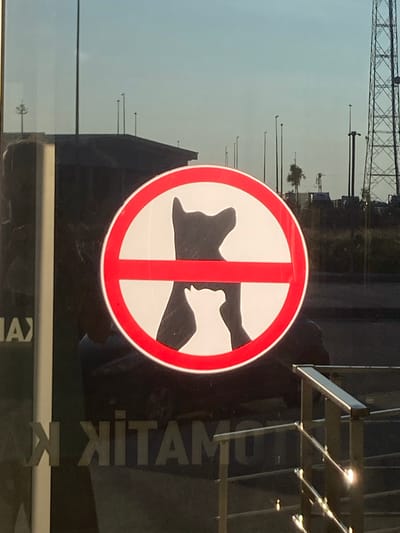 This image shows a close-up of a round, red-bordered sign with a white background on a glass surface, likely a storefront or window. The sign depicts a black silhouette of a cat and a dog with a red diagonal line crossing over them, indicating that pets are not allowed. Reflected in the glass are the sky, some tall structures that appear to be communication towers or industrial equipment, and the dark shapes of buildings. Text is partially visible on the glass below the sign, with some letters appearing in English and others in a different alphabet, possibly Turkish. The overall scene suggests an outdoor urban environment, potentially in Balâ, Turkey, where a pet-friendly policy is not in effect at this location.