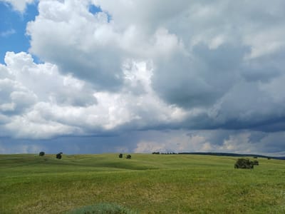 An expansive, rolling green field stretches across the landscape, dotted with a few scattered trees. The sky above is dramatic, filled with a mix of bright white cumulus clouds and darker, more ominous storm clouds that suggest approaching rain. A faint dirt road winds its way through the upper portion of the field. In the distance, a line of trees forms the horizon. The overall scene depicts a natural, rural environment with dynamic weather conditions. This image was captured in Nigamatovo, Russia.