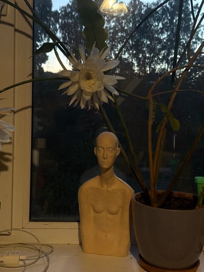 The image shows a still life composition on a windowsill with a window in the background, likely in Voeikovo, Russia. The primary subjects are a delicate white flower with multiple petals, and a plaster bust of a person, the bust depicting a head and shoulders with visible breasts. The bust is a light tan color and appears to be handmade. The flower is in full bloom and is positioned to the left of the bust. Behind these objects, a window reveals a blurred view of trees and the sky, suggesting it is either dawn or dusk due to the low light conditions. A plant in a grey pot is situated behind and to the right of the bust, its branches reaching across the frame. The windowsill itself is a light color, and a white power cord with a white adapter is visible in the lower right corner. The overall impression is one of quiet contemplation, with the soft lighting and natural elements creating a serene atmosphere. There is no discernible text in the image.