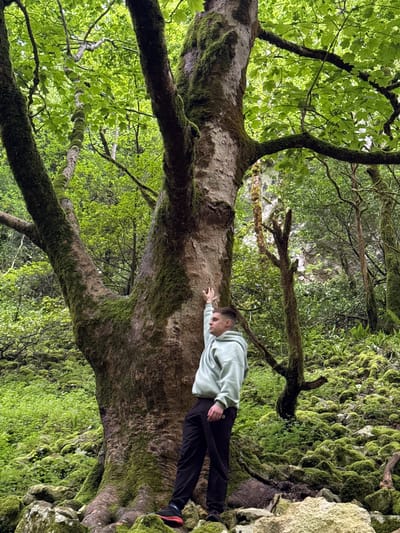 A person lies prone on a large, moss-covered tree trunk in a lush, green forest. The person, wearing a light-colored hooded sweatshirt and dark pants, has their hand resting on the tree trunk. The surrounding environment features dense foliage, including trees with vibrant green leaves and mossy rock formations. The location is the city of Tsabal, Abkhazia.
