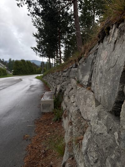 An outdoor scene in Vinstra, Norway, depicts a winding paved road alongside a natural or man-made rock wall/cliff face. The image, originally captured in portrait orientation but displayed rotated, shows the rock face occupying the left side, covered in various shades of grey stone with visible cracks and textures. Tufts of green and dried grass and other sparse vegetation sprout from crevices in the rock.
To the left of the rock face, the dark silhouettes of coniferous trees, possibly pines, are visible against a bright, overcast sky. The sky itself is a uniform light grey, suggesting a cloudy day.
The paved road, occupying the right side of the image, appears wet, reflecting the light and indicating recent rain or damp conditions. Beside the road and below the rock face, there's an area covered in brown, fallen leaves and debris. A modern-looking, light-colored metal bench with a concrete base is positioned next to the road, offering a resting spot.
In the background, beyond the trees and the road, distant mountains are faintly visible under the cloudy sky, hinting at a mountainous or hilly landscape. No people or specific activities are depicted, giving the scene a quiet and natural ambiance. No visible text is present in the image.