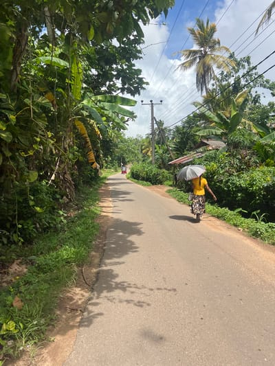 Olaganduwa, Sri Lanka. A woman walks along a narrow asphalt road under a cloudy sky. She is wearing a yellow top and floral print skirt, holding a white umbrella. Dense tropical vegetation lines both sides of the road. A palm tree is visible in the upper left corner. Utility poles and wires run along the left side of the road. A small vehicle is faintly visible in the distance. Shadows from the trees and the woman are cast on the road.