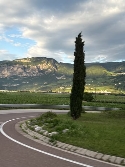 This media file captures a scenic view of a mountain landscape in Mezzolombardo, Italy. The scene is dominated by a steep, rocky mountain on the left, its slopes covered in lush green vegetation and terraced vineyards. A winding road, partially visible on the right, curves through the scene, bordered by a grassy verge and a grey barrier. The sky above is a mix of dramatic clouds and patches of blue, suggesting it is either early morning or late afternoon, with diffused sunlight illuminating the mountainside. The overall atmosphere is serene and natural, evoking a sense of peace and the beauty of the Italian countryside. No people are visible in the frame.