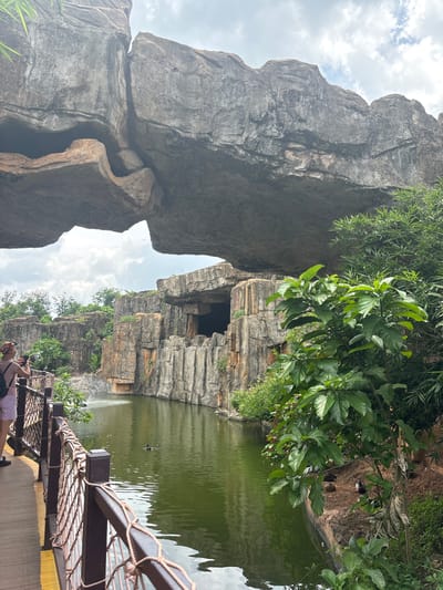 An overcast day in Xiuying District, China features a scenic view of a large, overhanging rock formation casting a shadow over a body of green water. To the left, a wooden walkway with a rustic fence runs parallel to the water. A person wearing a pink shirt and light-colored shorts stands on the walkway, holding a camera. In the water, several ducks are visible. The background consists of rock cliffs and lush green trees.