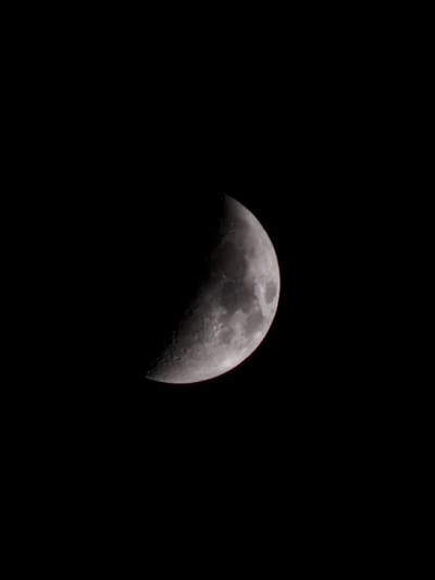 The image displays a first quarter Moon, observed from ქვედა სამება, Georgia, set against a completely black night sky. The lunar disk is illuminated on its right half, revealing numerous craters and prominent maria across its grey and white surface. The terminator, the line separating the illuminated and dark portions, is sharply defined. No other celestial bodies, terrestrial features, individuals, objects, actions, or interactions are present within the frame.