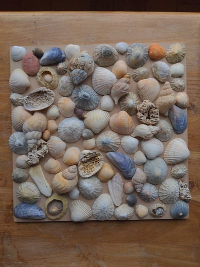 The image shows a collection of seashells arranged on a light brown square backing, which is placed on a wooden surface. The seashells vary in size, shape, and color, including spiral shells, bivalve shells, and limpet-like shells. Some shells are broken or weathered. The arrangement is dense and covers most of the backing. The wooden surface has a visible grain and appears to be a table or countertop. The lighting suggests an indoor setting. There are no people or animals present. The image does not provide any information that could be used to determine its location in Magherafelt, United Kingdom, or any other specific geographical location.