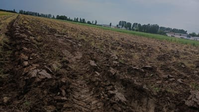 An aerial view captures a recently plowed field with visible tire tracks from agricultural machinery. The soil is a dark, rich brown, with clumps and furrows indicating the tilling process. Scattered dry grass and stubble are present. In the background, a line of tall, slender trees runs horizontally across the mid-ground, separating the field from a strip of green vegetation and a few low-rise buildings. The sky above is overcast with a gradient of gray clouds. The scene appears to be located on the outskirts of Saidaul, Uzbekistan, suggesting agricultural activity in the region.