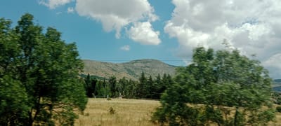 The image depicts a sunlit, slightly hazy landscape with rolling hills in the background and trees in the foreground. The sky is a vibrant blue with fluffy white clouds. The ground is covered in dry, yellowish grass and scattered evergreen trees. A faint power line can be seen stretched across the middle ground. There are no people or visible structures, suggesting a rural or natural environment. The overall impression is one of a warm, clear day in a somewhat arid, mountainous region. This scene is consistent with the natural environment found in El Espinar, Spain, known for its mountainous terrain and pine forests.