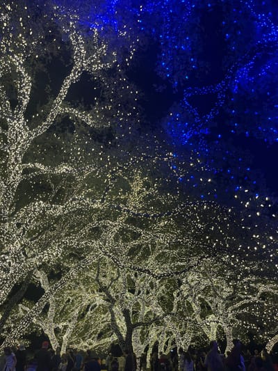 A tree is adorned with numerous strings of lights, predominantly white with a section illuminated in blue, creating a striking contrast. The lights cover the branches intricately, suggesting a festive or decorative display. The nighttime setting emphasizes the brightness of the lights against the dark backdrop. Along the right edge, indistinct figures suggest people observing the illuminated tree, adding to the ambiance of a public gathering or event.