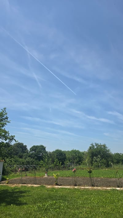 This image depicts an outdoor agricultural or garden scene under a bright sky, located in Rudnik, Bulgaria.
The upper portion of the frame features a light blue sky with faint, wispy white clouds. A prominent white aircraft contrail extends diagonally from the upper left quadrant towards the middle right. A wider, more diffused contrail or older segment of a contrail is visible intersecting the main one near the top left.
The midground is dominated by a long, raised planting bed of dark, tilled soil, running horizontally across the frame. Several metal arch trellises are spaced along this bed; two of the leftmost arches support pink flowering plants. Between two of the central arches, a small, lighter green plant is visible. Slightly to the left of the center within the planting bed stands a reddish cylindrical structure, possibly a water pump or wellhead. A narrow, light-colored path or border separates the planting bed from the foreground.
The foreground consists of green grass, which appears somewhat unevenly maintained. Irregular dark shadows are cast upon the grass, originating from objects outside the left edge of the frame.
The background presents a dense line of various green trees forming a natural horizon. Behind this treeline, further to the right, a smaller, lighter-colored structure, possibly a greenhouse frame or shed, is visible. On the far left, a portion of a white building or structure is partially obscured by foliage.
No people or animals are visible in the scene, and no discernible actions or interactions are depicted. The environment is rural or semi-rural, characterized by cultivated land and natural vegetation under daylight conditions.