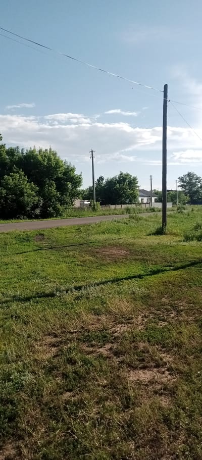 The image depicts a rural scene, likely on the outskirts of the village of Marinovka, Kazakhstan. A paved road runs horizontally through the middle ground, bordered by a grassy verge on the right and a line of trees and vegetation on the left. In the distance, a few houses and fences are visible, interspersed with more trees. Utility poles with wires are present in the scene, indicating a populated area. The sky is partly cloudy with a bright sun. The foreground consists of a grassy field with some patches of dry grass and bare earth.