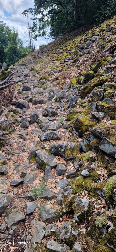 The image depicts a rocky, upward-sloping path in a wooded area. The path is covered with a mix of stones, fallen leaves, and moss. Trees with green foliage and a dead, bare tree are visible on the left side of the path, and denser foliage forms the background on the right. The lighting suggests an overcast day. The scene is characteristic of the Naturpark Nördlicher Oberpfälzer Wald region surrounding Neustadt am Kulm, Germany, likely a hiking trail. There are no people or animals present. The timestamp at the bottom of the image indicates it was taken on July 19, 2026, at 14:31.