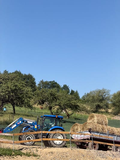 A blue tractor with a front loader is parked on a dirt path in Jodłownik, Poland. The tractor is facing right, and a trailer loaded with hay bales is attached to its rear. Behind the tractor and trailer, a grassy field with trees and a cow can be seen. The sky is clear and blue.