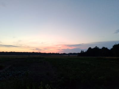 This is a photograph of a field at dusk in Redkivka, Ukraine. The sky is a gradient of pale blue at the top transitioning to a soft pink and orange hue near the horizon, with wispy clouds. A dark silhouette of a forest runs along the horizon line. In the foreground, the field is dark and appears to be cultivated land with some vegetation. The overall scene is peaceful and natural, captured during twilight.